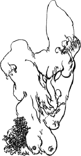 This is another by Austin Osman Spare, formed this time in an abstract of female primary and secondary sexual attributes in contrast to the male elements in the first. There is a large face suggested in the drawing, to the right and center